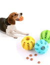 1PC Dog Ball Toys For Small Dogs Interactive Elasticity Puppy Chew Toy Tooth Cleaning Rubber Food Ball Toy Pet Stuff Accessories
