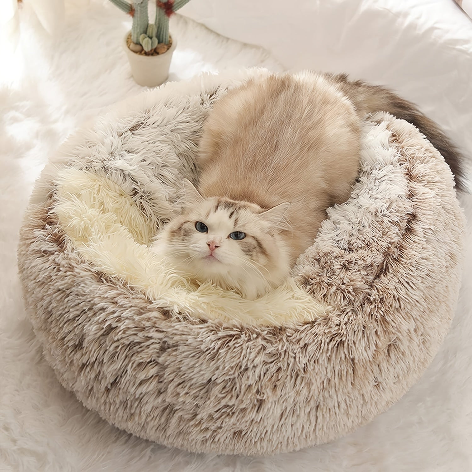 Plush Round Hooded Pet Bed, Warm Dog Bed For Small Dogs, Fluffy Soft Cat Bed, Donut Pet Cushion
