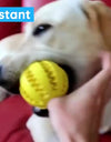 1PC Dog Ball Toys For Small Dogs Interactive Elasticity Puppy Chew Toy Tooth Cleaning Rubber Food Ball Toy Pet Stuff Accessories