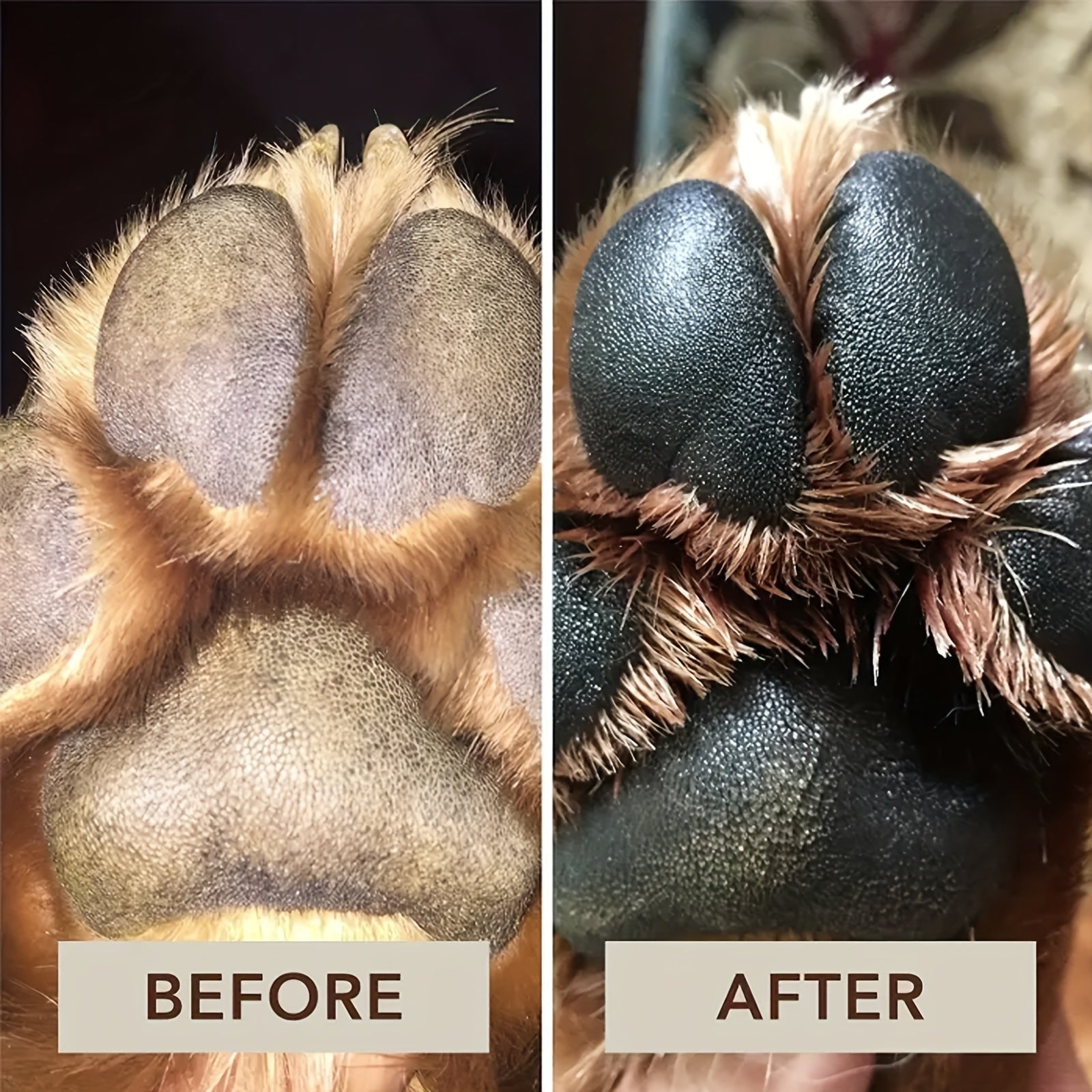 Paw Protection for Your Furry pets: Pet Paw Balm for Dogs & Cats - Moisturize & Protect Dry Paws Year-Round!