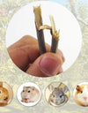 50g/Bag Pet Playing Small Pets Rabbit Hamster Guinea Pig Parrot Toys Hamster Chew Toy Wood Sticks Twigs Cleaning Teeth