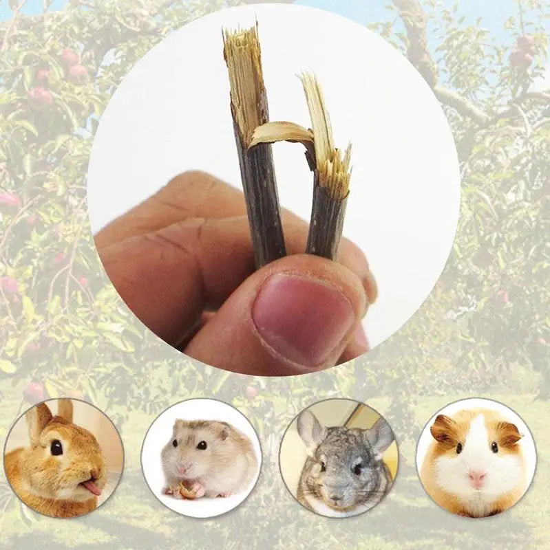 50g/Bag Pet Playing Small Pets Rabbit Hamster Guinea Pig Parrot Toys Hamster Chew Toy Wood Sticks Twigs Cleaning Teeth