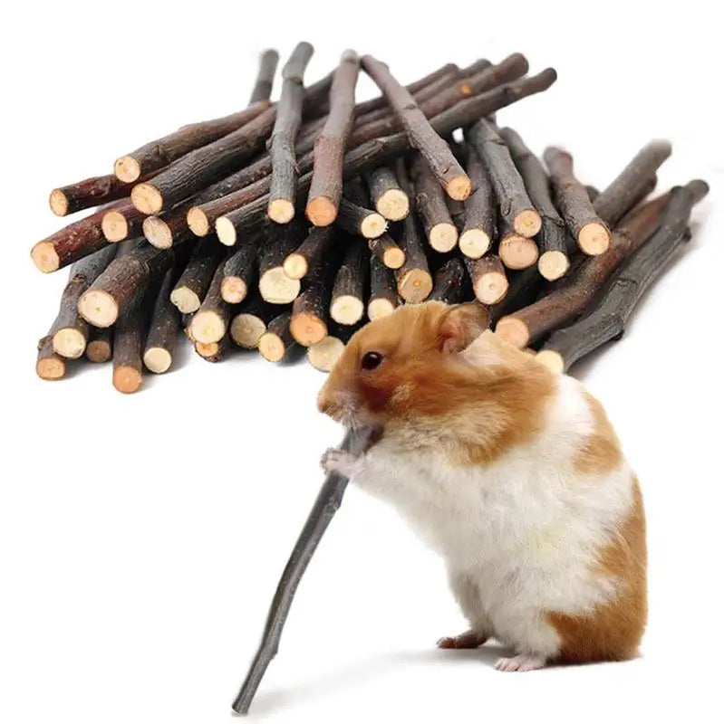 50g/Bag Pet Playing Small Pets Rabbit Hamster Guinea Pig Parrot Toys Hamster Chew Toy Wood Sticks Twigs Cleaning Teeth