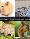 50g/Bag Pet Playing Small Pets Rabbit Hamster Guinea Pig Parrot Toys Hamster Chew Toy Wood Sticks Twigs Cleaning Teeth