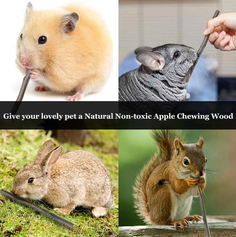 50g/Bag Pet Playing Small Pets Rabbit Hamster Guinea Pig Parrot Toys Hamster Chew Toy Wood Sticks Twigs Cleaning Teeth