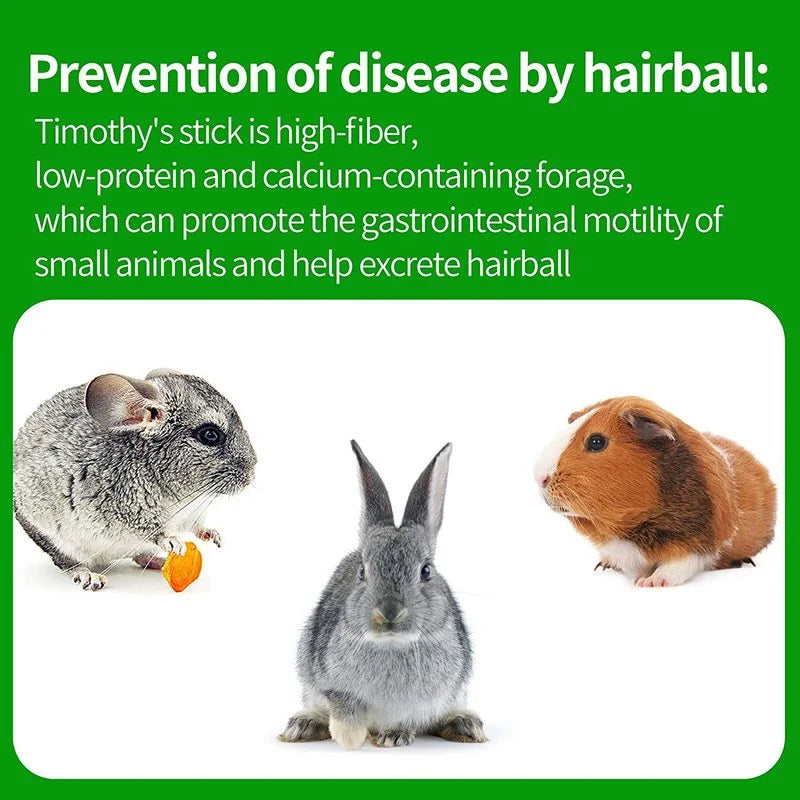 Pets Chewing Toys Carrot Timothy Hay Molar Sticks for Rabbits Guinea Pig Hamsters Chinchilla Bunny Chew Toys Teeth Treats