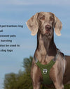 Pet Dog Harness Vest No Pull Reflective Dog Training Harness Collar For Medium Large Dogs Big Breed Husky Labrador Pets Supplies