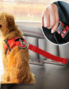 Pet Car Seat Belt Car Retractable Leash Dog Harness Dog Leash Dog Supplies Collar Accessories Pets Dogs Best Selling Products