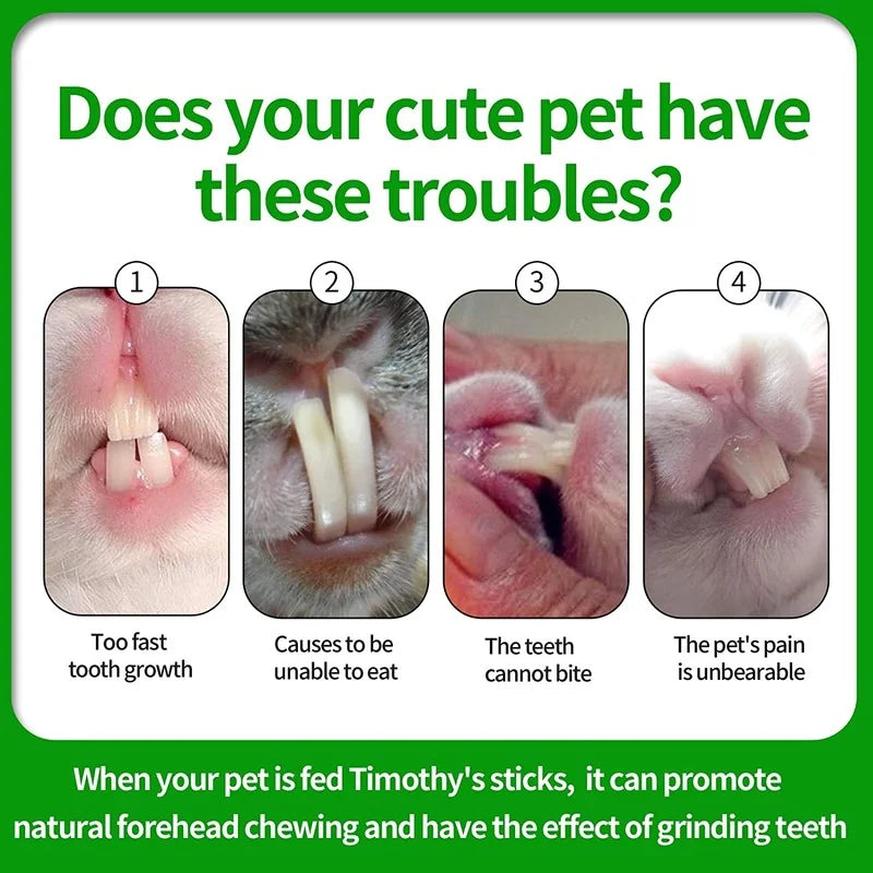 Pets Chewing Toys Carrot Timothy Hay Molar Sticks for Rabbits Guinea Pig Hamsters Chinchilla Bunny Chew Toys Teeth Treats