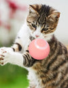 Smart Cat Toys Electric Cat Ball Automatic Rolling Ball Cat Interactive Toys Pets Toy For Cats Indoor Playing Cat Accessories
