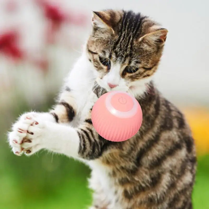 Smart Cat Toys Electric Cat Ball Automatic Rolling Ball Cat Interactive Toys Pets Toy For Cats Indoor Playing Cat Accessories