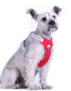 Pet Dog Harness Vest No Pull Reflective Dog Training Harness Collar For Medium Large Dogs Big Breed Husky Labrador Pets Supplies