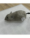 image_0
