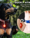 Bright LED Collar Light Pendant with Carabiner Clip-Setting Insulating Sheet for Nighttime Safety of Dogs and Cats - Flashing Pet Tag Supplies