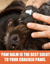 Paw Protection for Your Furry pets: Pet Paw Balm for Dogs & Cats - Moisturize & Protect Dry Paws Year-Round!