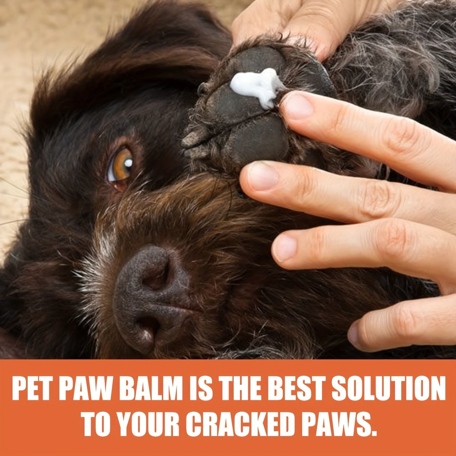 Paw Protection for Your Furry pets: Pet Paw Balm for Dogs & Cats - Moisturize & Protect Dry Paws Year-Round!