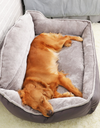 Dog Bed: