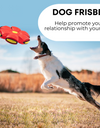 Dog Frisbee