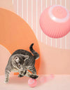 Interactive Ball