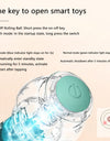 Interactive Ball