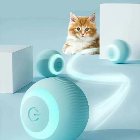 Interactive Ball