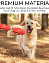 Dog Frisbee