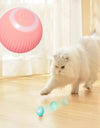 Interactive Ball