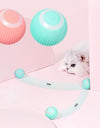 Interactive Ball